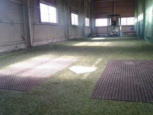 室内練習場２ (1)